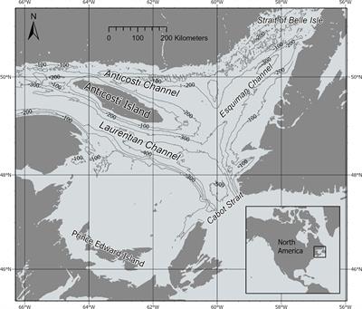 Seafloor morphology and substrate mapping in the Gulf of St Lawrence, Canada, using machine learning approaches